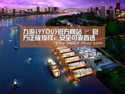 案例展示八