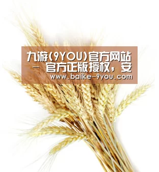 九游(9YOU)官方网站 - 官方正版授权，安全可靠首选